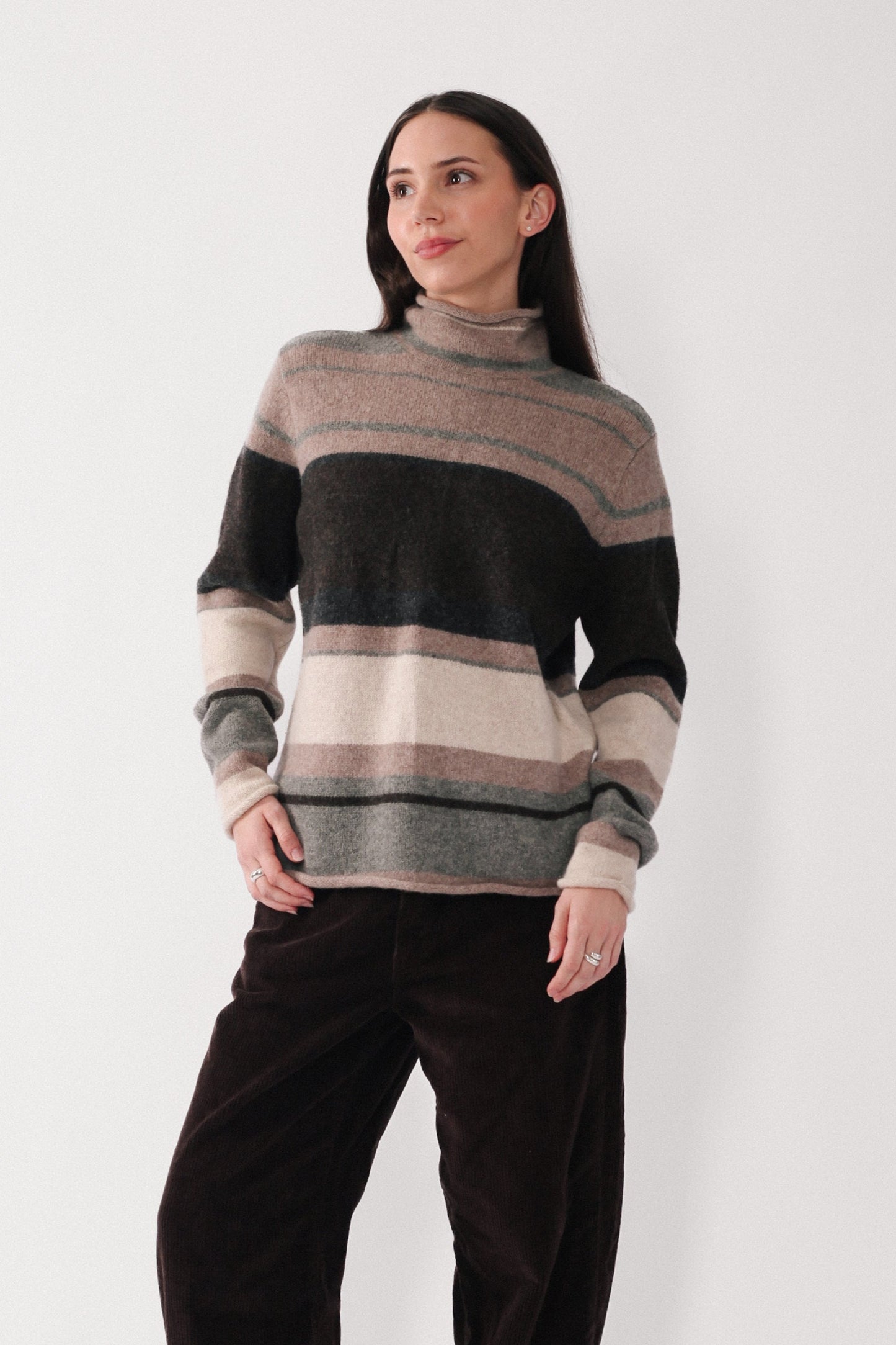 Neutral Stripe Turtleneck Sweater