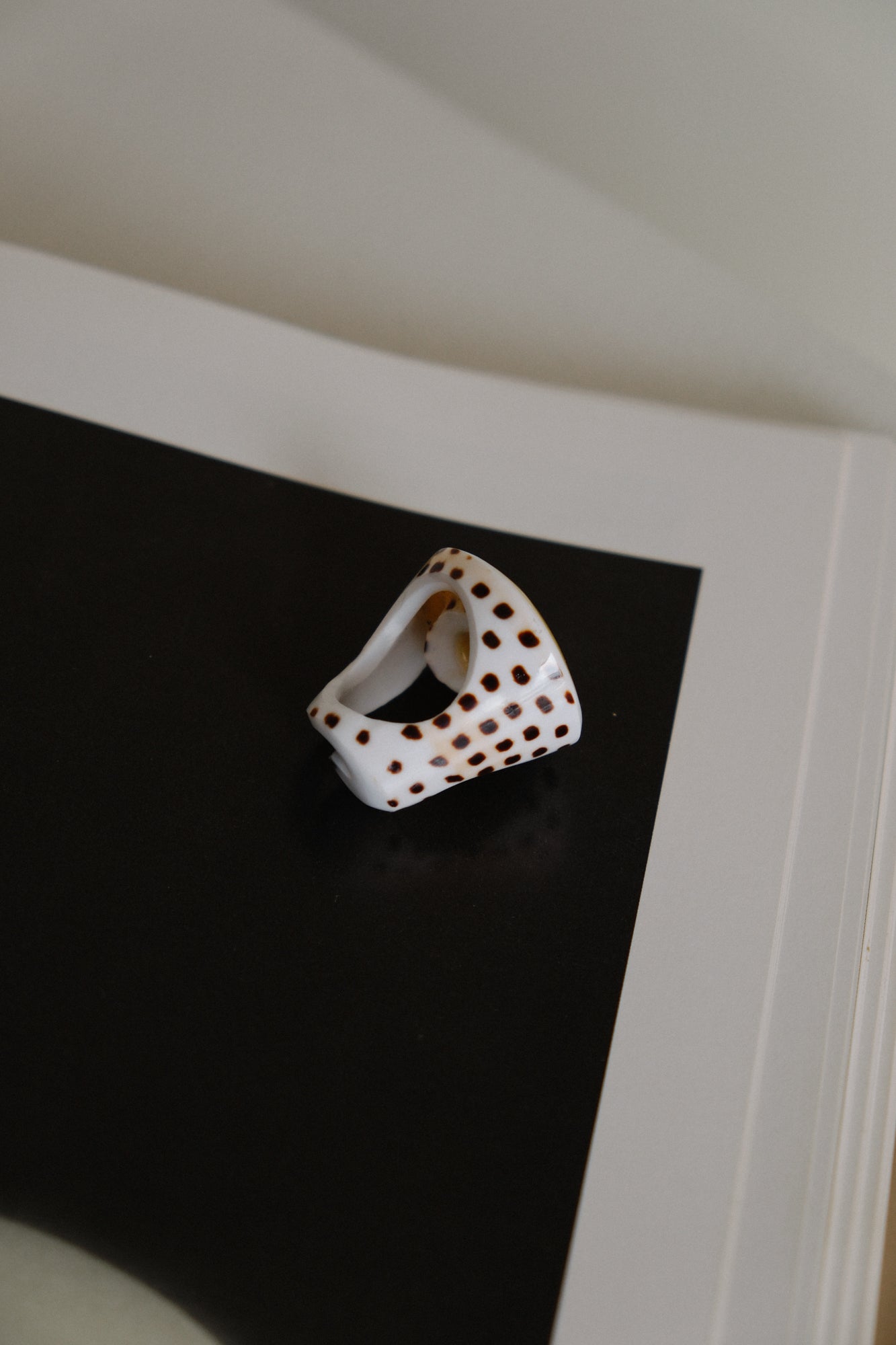 Shiva Shell Ring