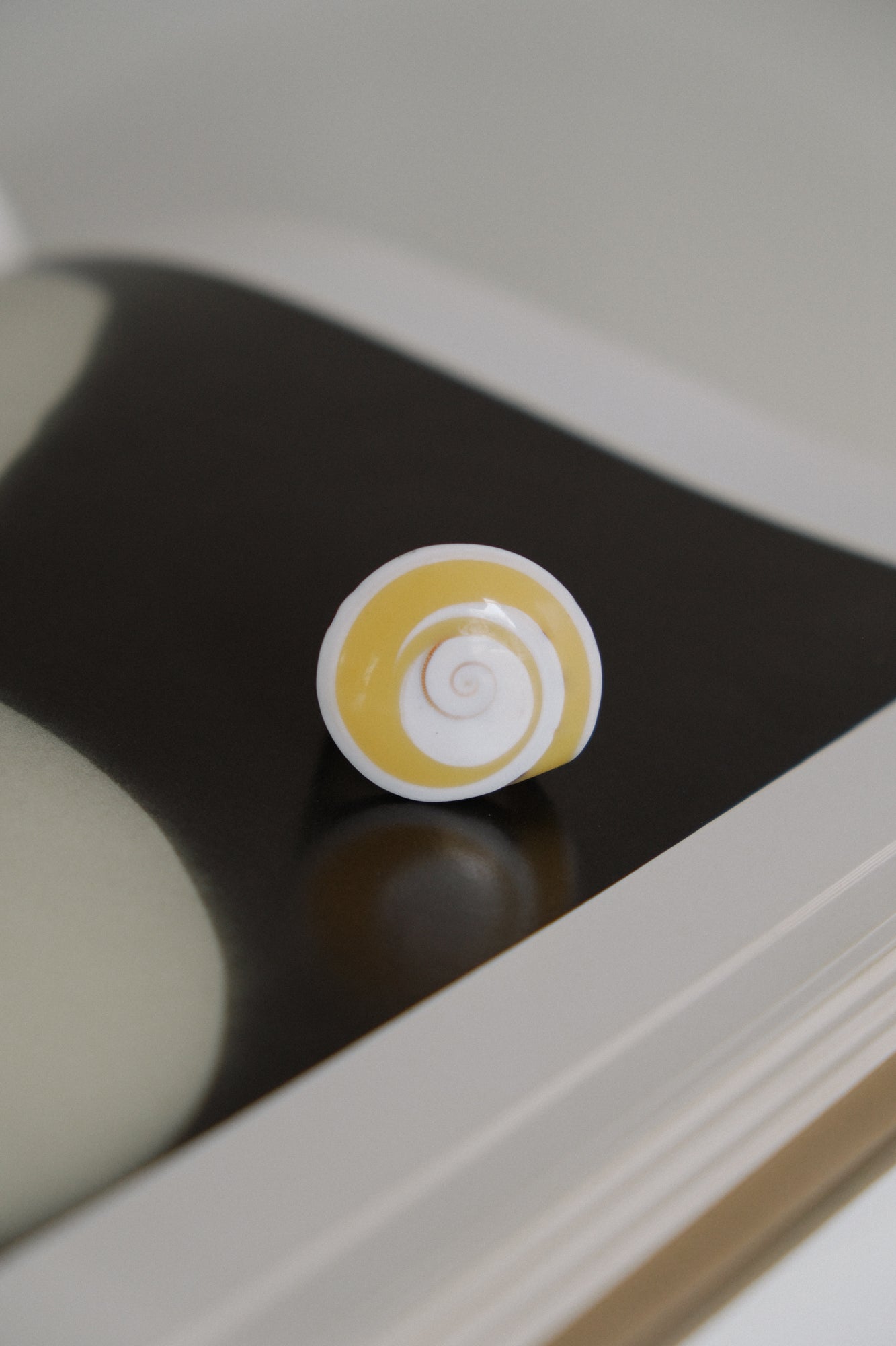 Shiva Shell Ring