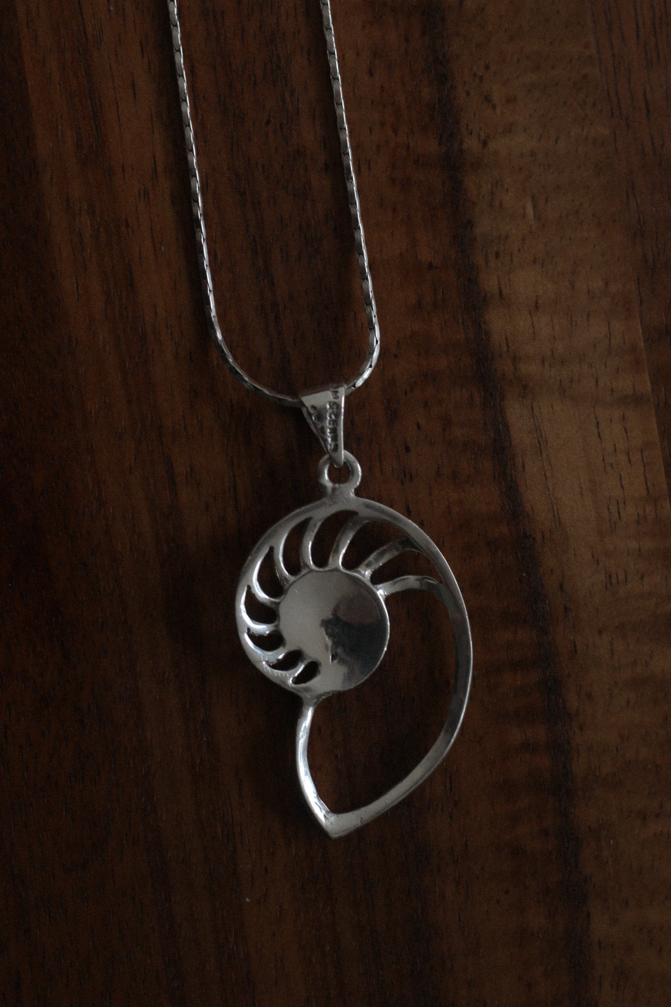 Nautilus Necklace
