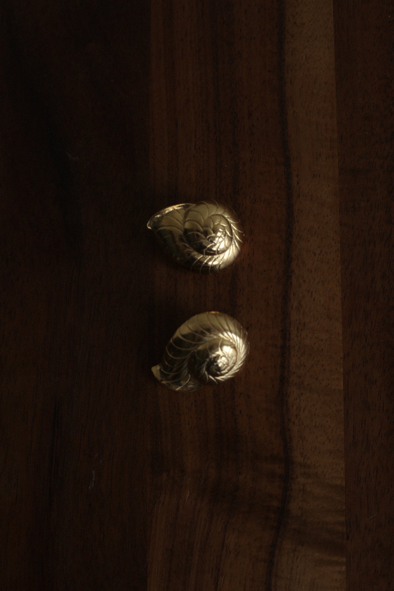 Chunky Nautilus Earrings