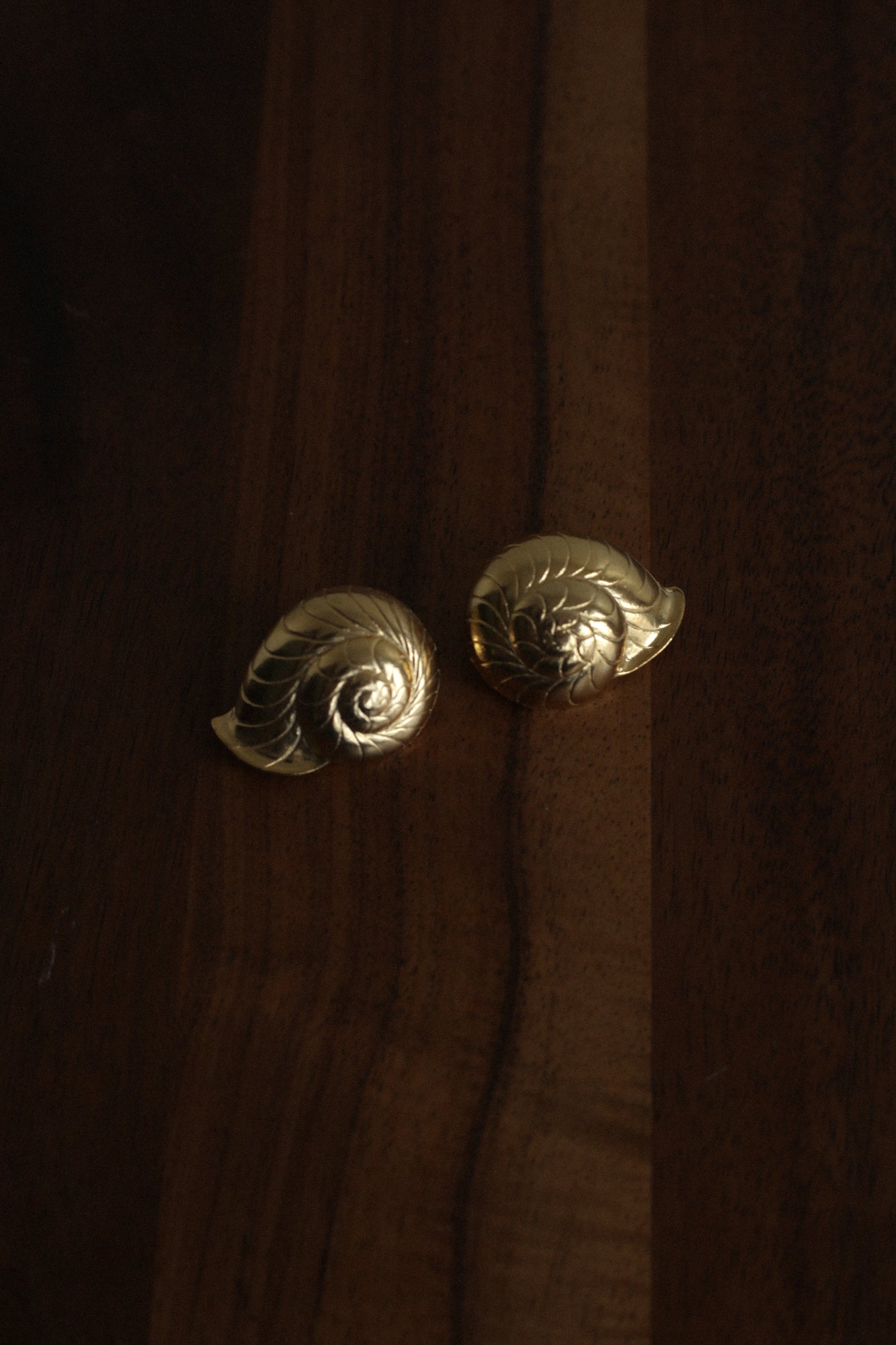 Chunky Nautilus Earrings