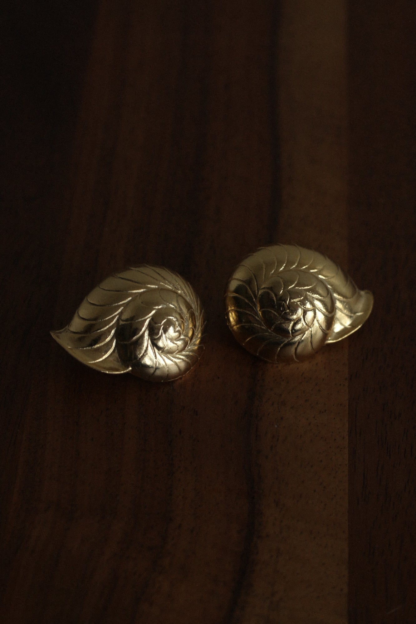 Chunky Nautilus Earrings