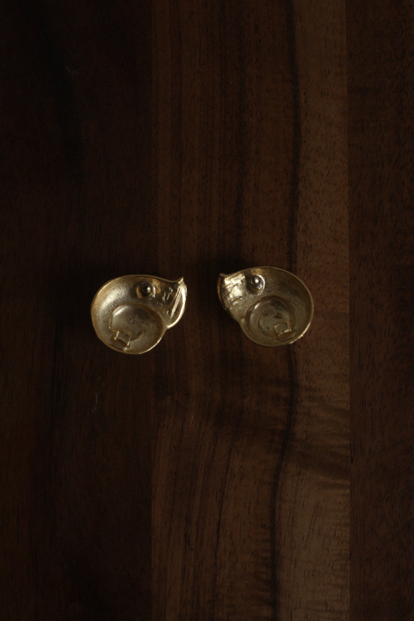 Chunky Nautilus Earrings