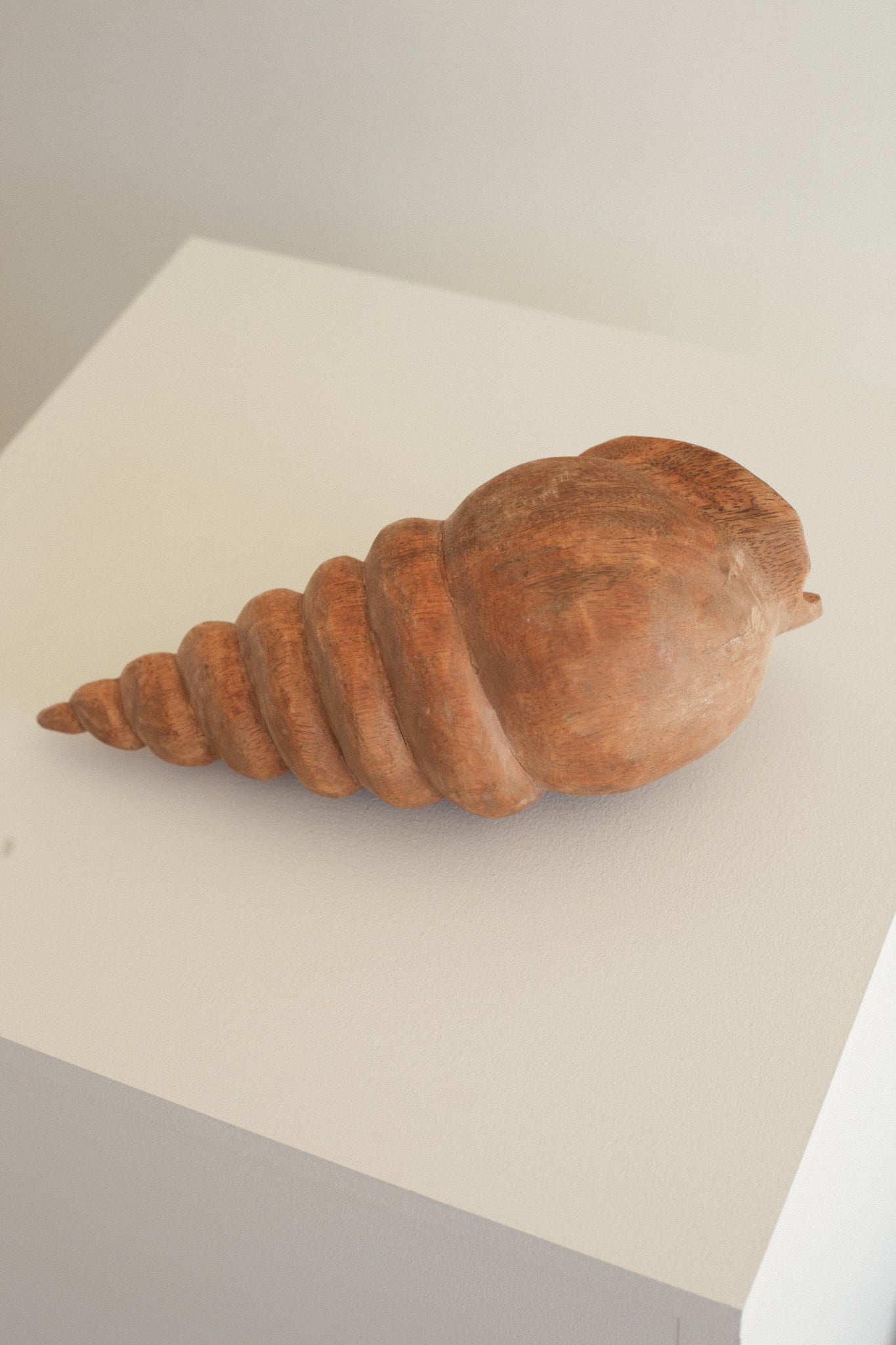 Carved Wooden Conch Shell