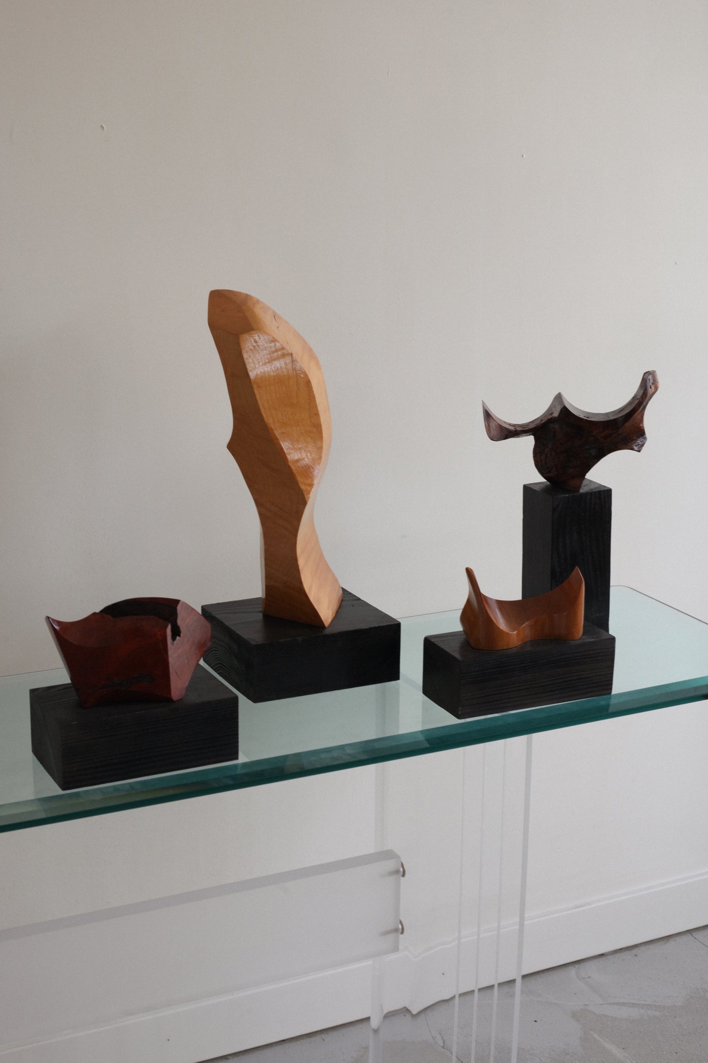 Series of Original Abstract Wood Sculptures