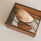 Stained Glass Seashell Jewelry Box