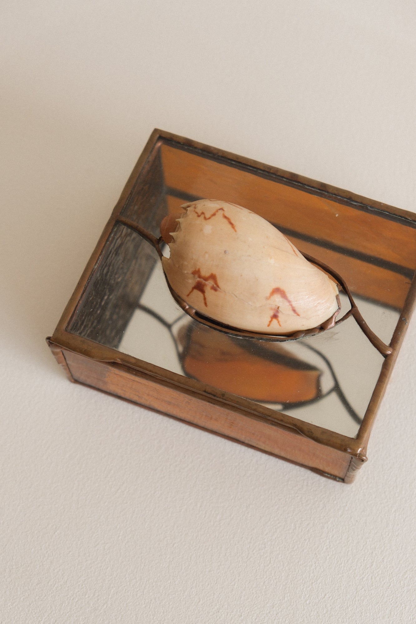 Stained Glass Seashell Jewelry Box