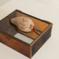 Stained Glass Seashell Jewelry Box