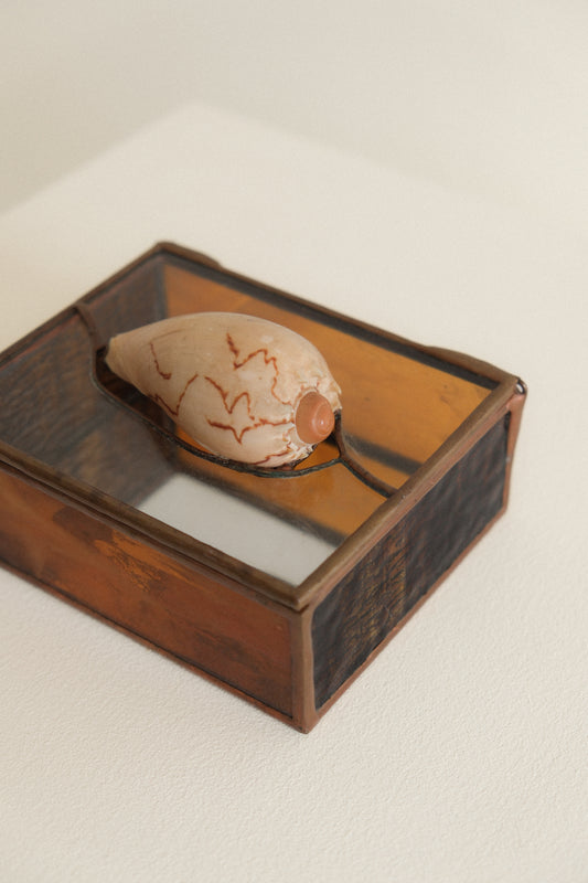Stained Glass Seashell Jewelry Box