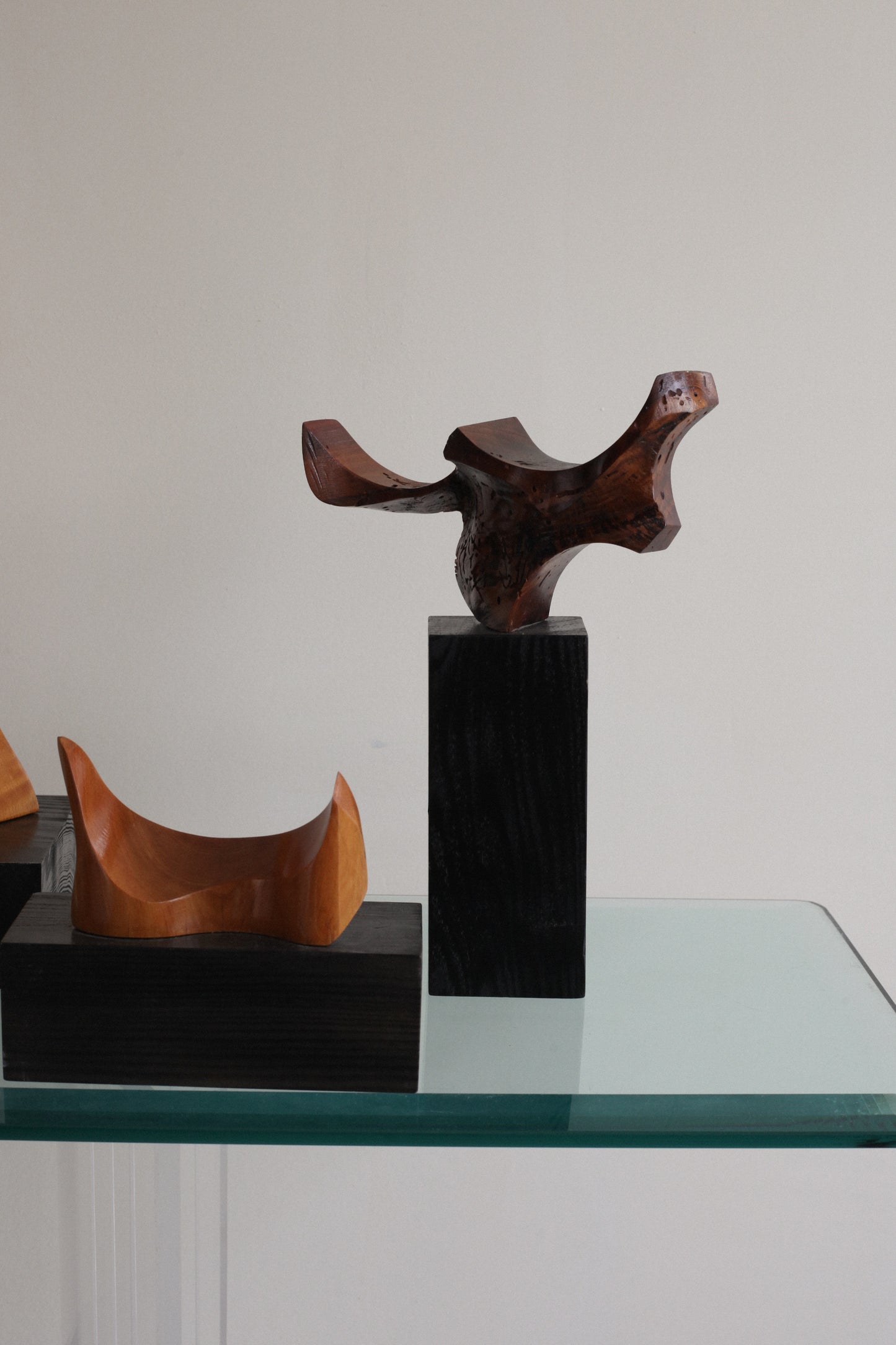 Series of Original Abstract Wood Sculptures