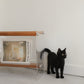 Braeside Studios Lucite & Oak Magazine Rack
