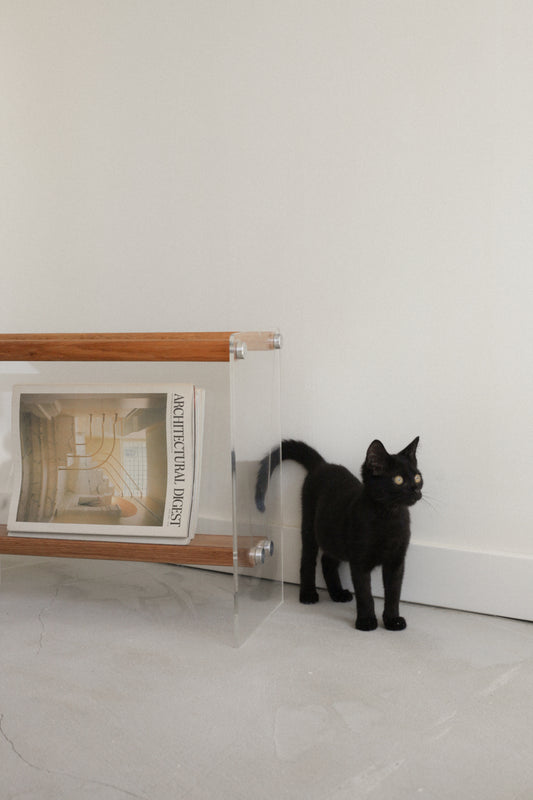 Braeside Studios Lucite & Oak Magazine Rack