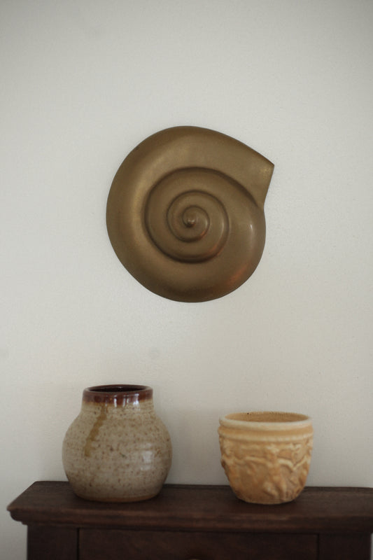 MCM Brass Shark Eye Seashell Wall Art