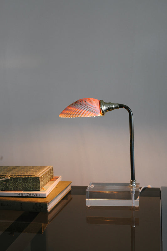 Seashell & Lucite Lamp